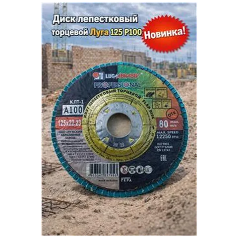 Диск лепестковый торцевой Луга 125 Р100 (арт 1-07-000018)
